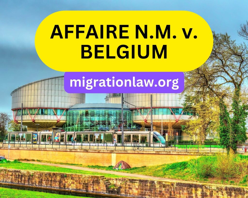 AFFAIRE N.M. v. BELGIUM, European Court of Human Rights